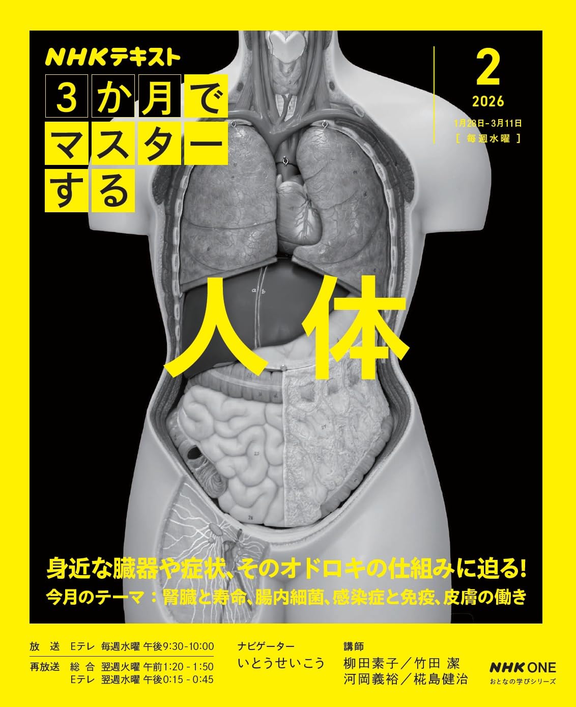 NHK3か月でマスターする 人体 2月号 (おとなの学びシリーズ) | 柳田